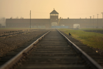 President home auschw